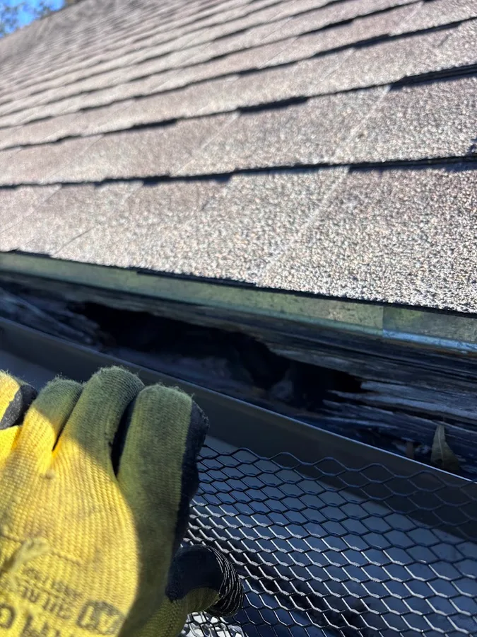 TEXAS RODENT CONTROL Wildlife Removal San Antonio in New Braunfels, TX — business photo 6