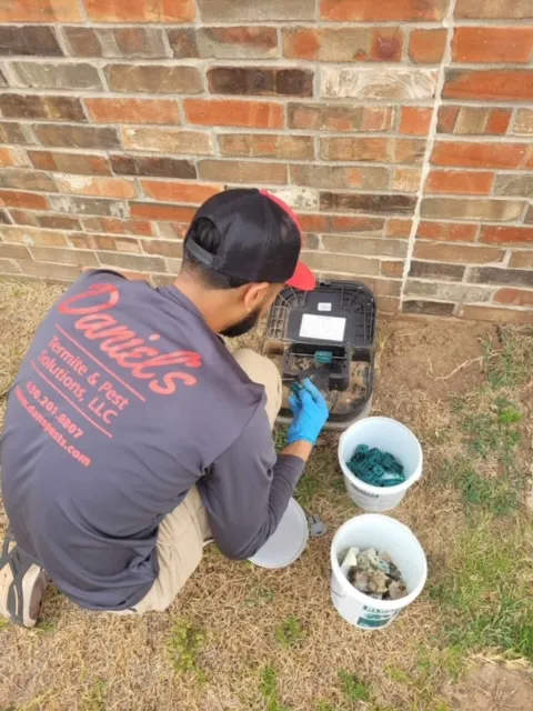 Daniel's Termite and Pest Solutions LLC in Longview, TX — business photo 2