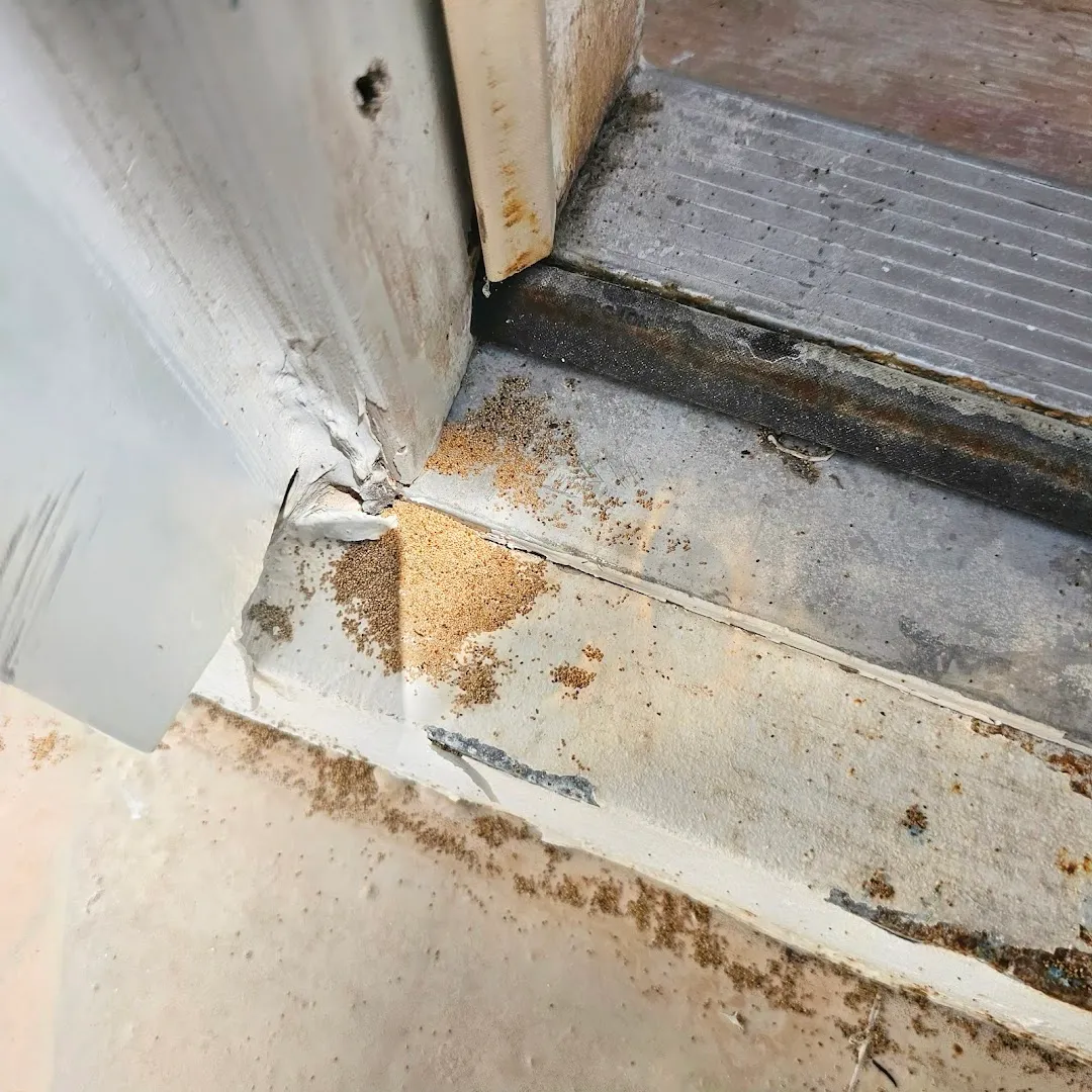 D & D Pest Solutions, Inc. in Galveston, TX — business photo 5