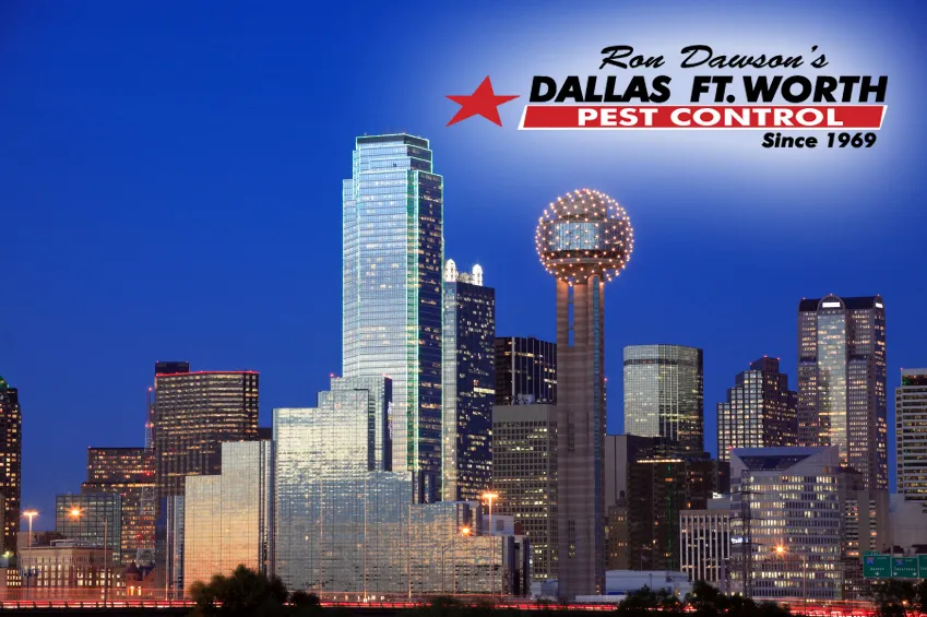 Dallas Ft. Worth Pest Control in Dallas, TX — business photo 3