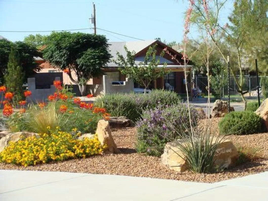 Delta Pest Control & Lawn Service in El Paso, TX — business photo 2