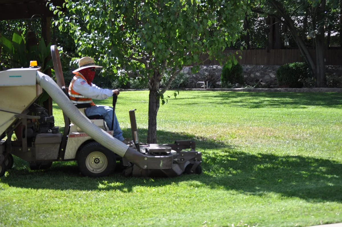 Delta Pest Control & Lawn Service in El Paso, TX — business photo 3