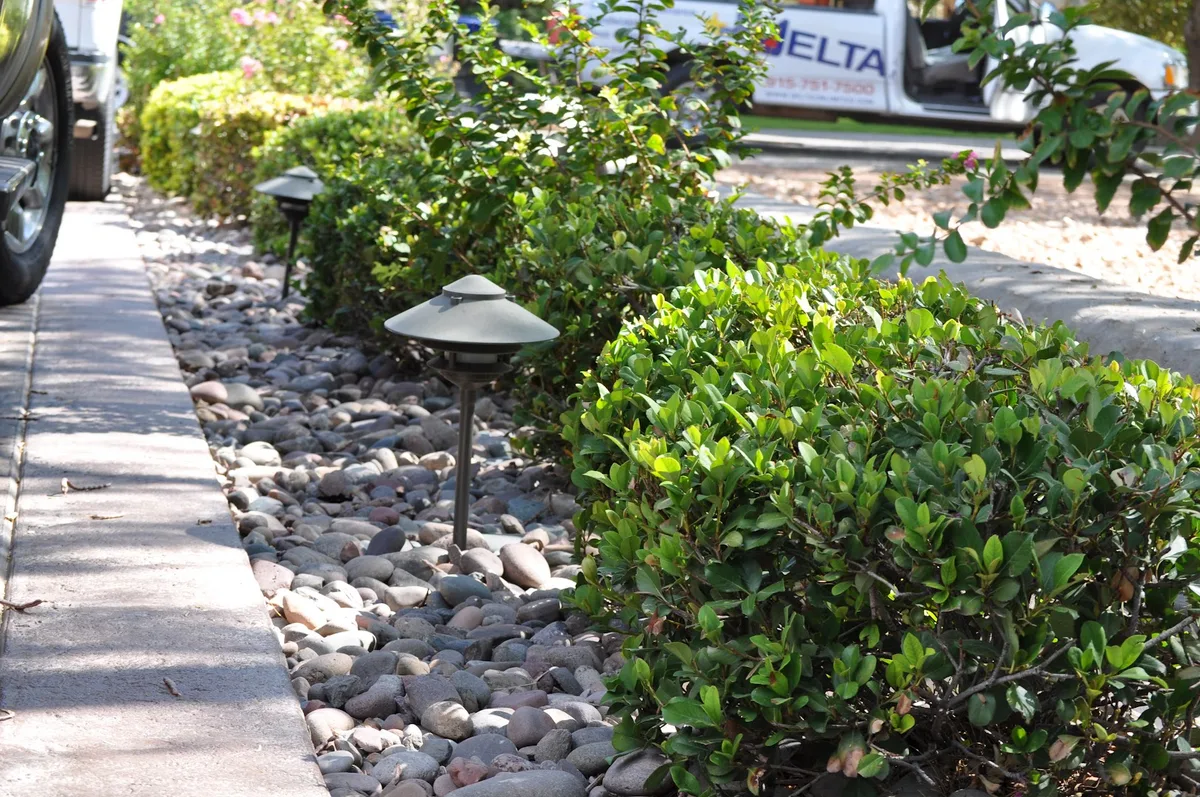 Delta Pest Control & Lawn Service in El Paso, TX — business photo 4