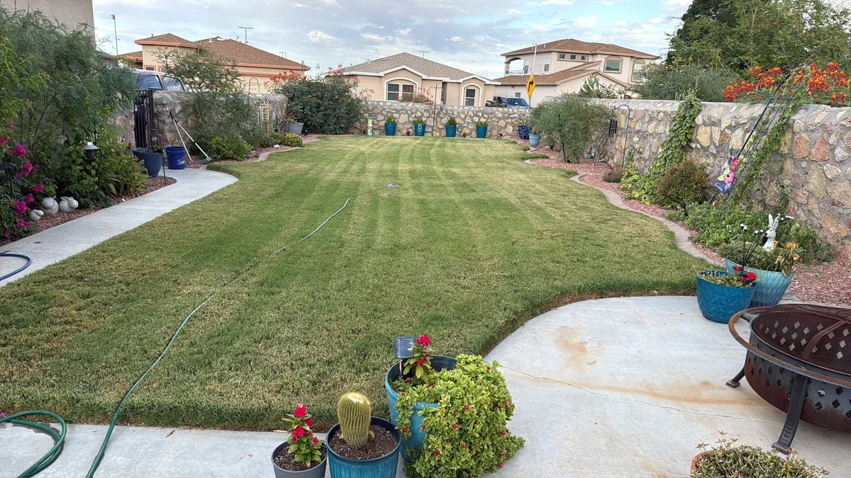 Delta Pest Control & Lawn Service in El Paso, TX — business photo 6