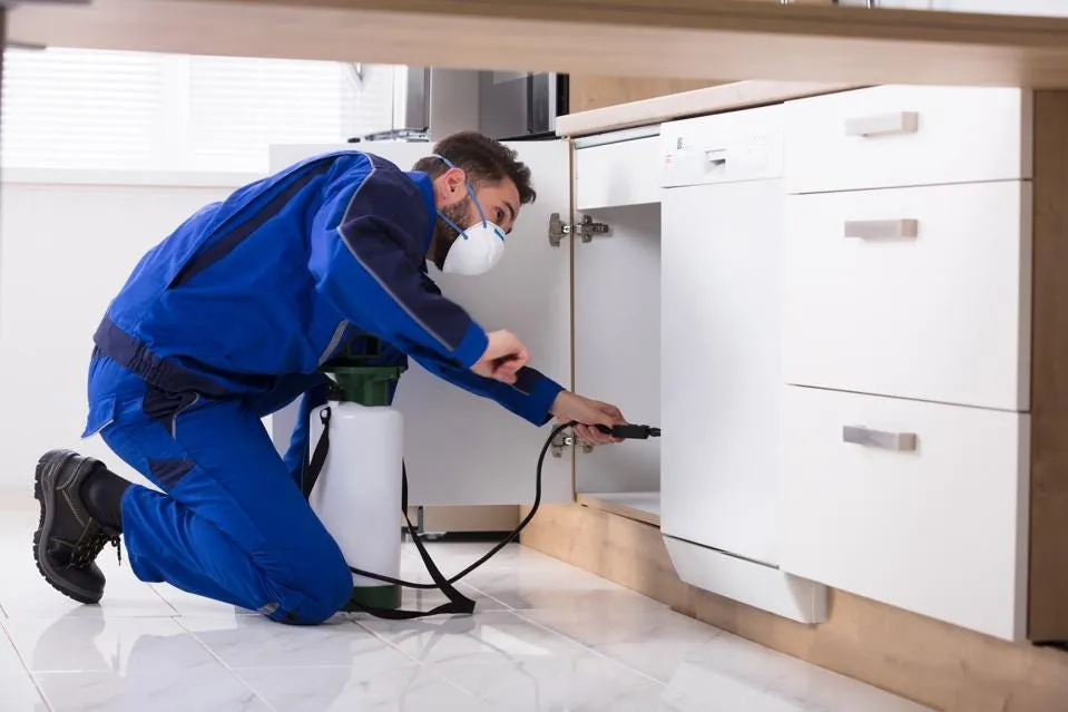Delta Pest Termination in Houston, TX — business photo 2