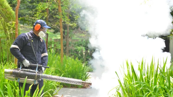 Delta Pest Termination in Houston, TX — business photo 3