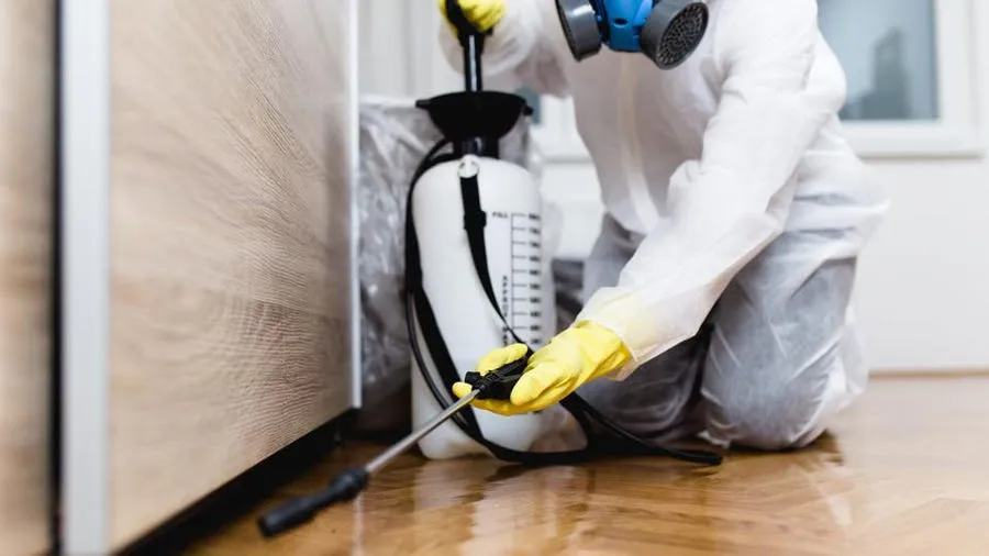 Delta Pest Termination in Houston, TX — business photo 4
