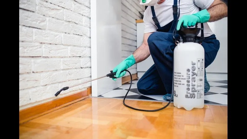 Delta Pest Termination in Houston, TX — business photo 5