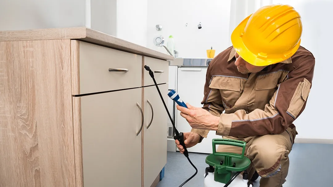 Denton County Termite & Pest Control Inc — pest control in Denton, DENTON County, TX