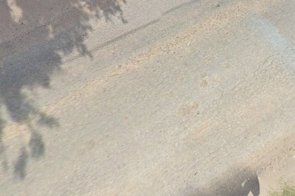 Dominion Pest Control in Corpus Christi, TX — business photo 5