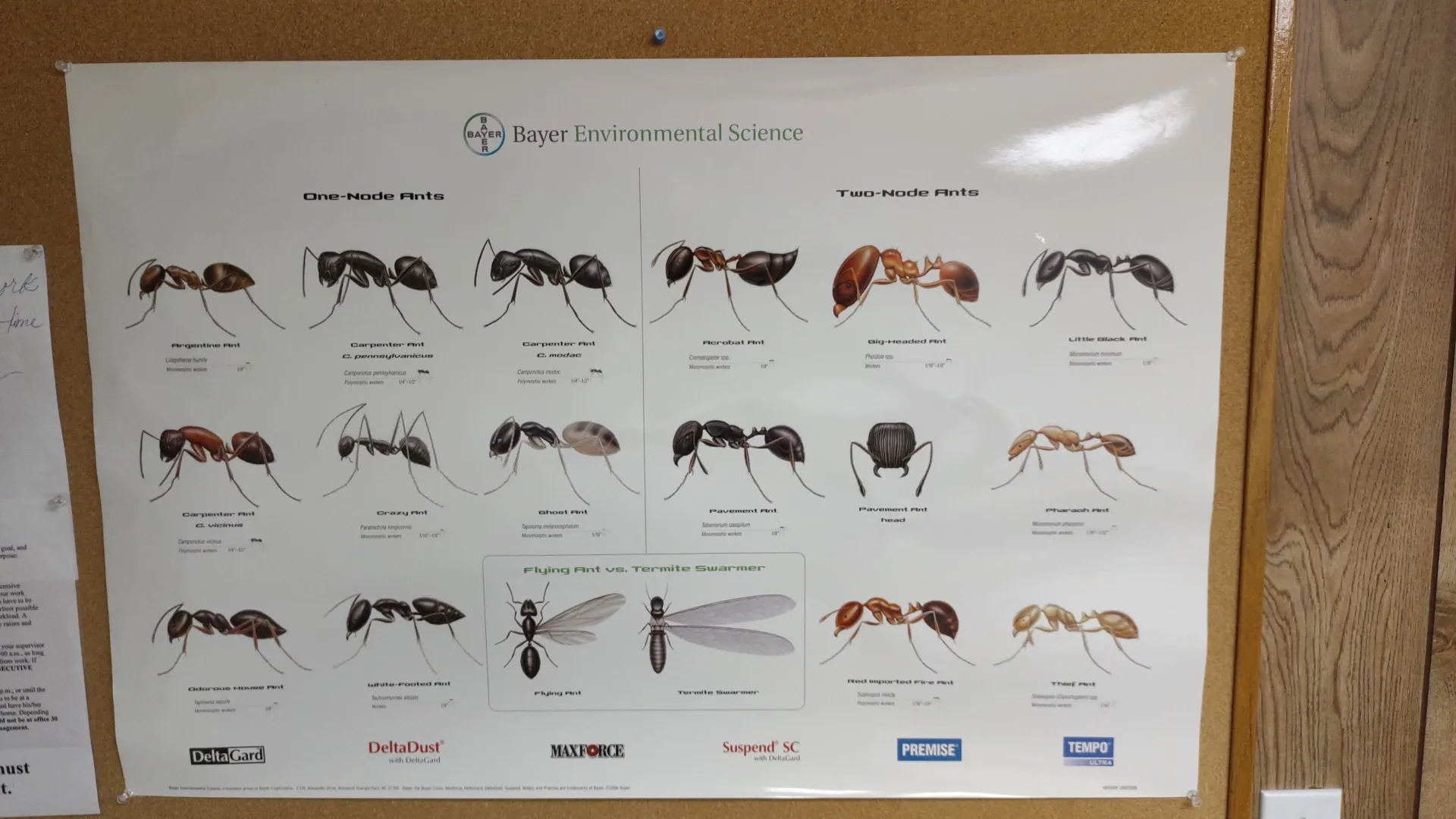 Double D Termite & Pest Control in Cleburne, TX — business photo 3