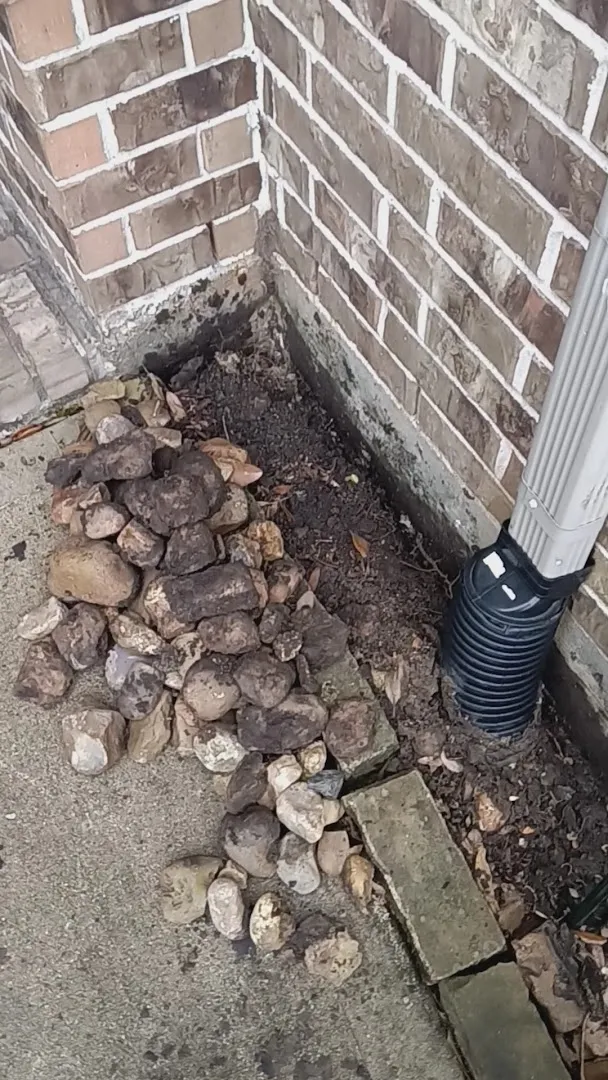 Dragon Pest Control in Richmond, TX — business photo 2