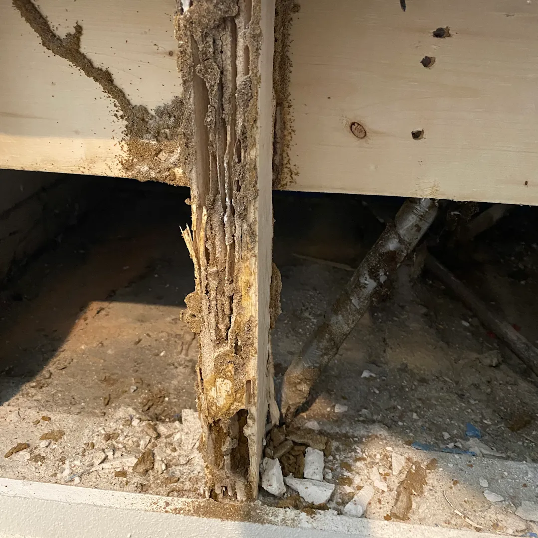 East Texas Termite & Pest Control in Jasper, TX — business photo 6