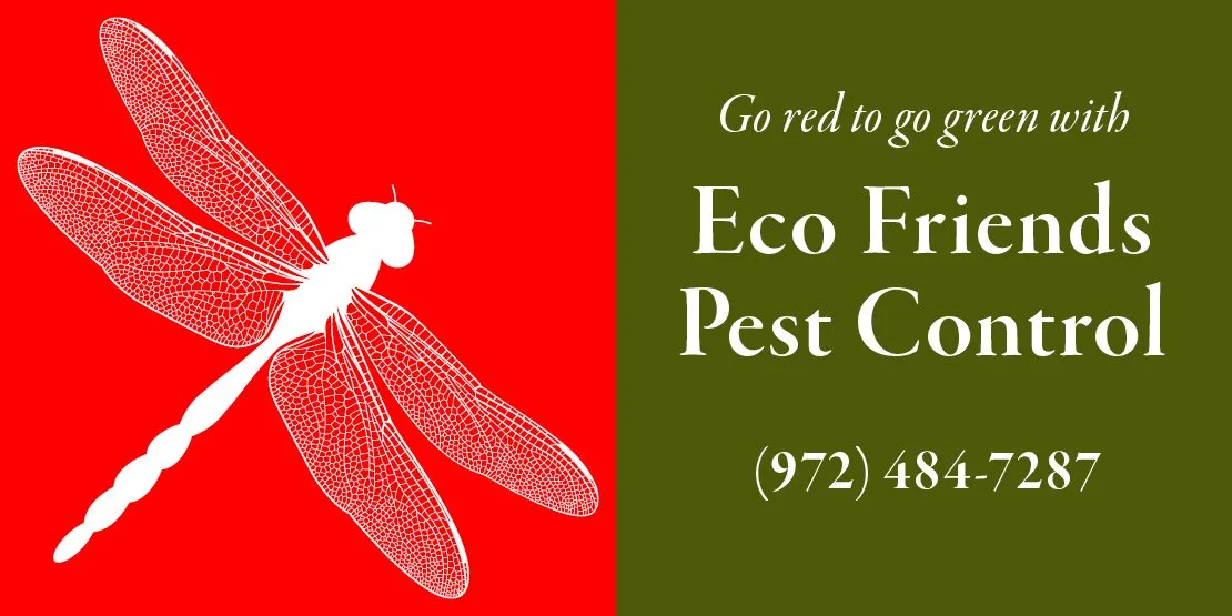 Eco Friends Pest Control in Dallas, TX — business photo 4
