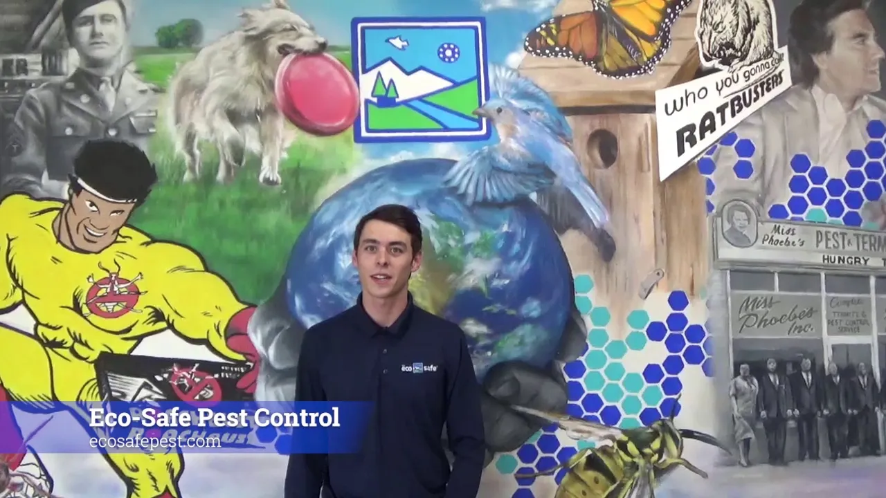 Eco-Safe Pest Control in Dallas, TX — business photo 3