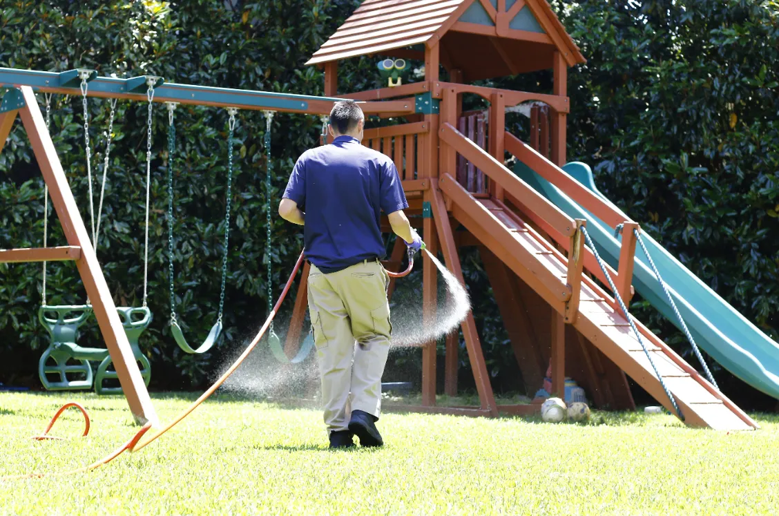 Eco-Safe Pest Control in Dallas, TX — business photo 4