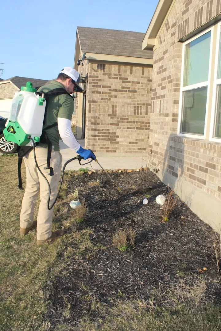 EcoForce Pest Management in New Braunfels, TX — business photo 3