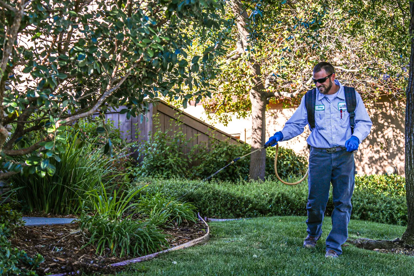 EcoForce Pest Management in New Braunfels, TX — business photo 5