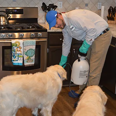 EcoForce Pest Management in New Braunfels, TX — business photo 6
