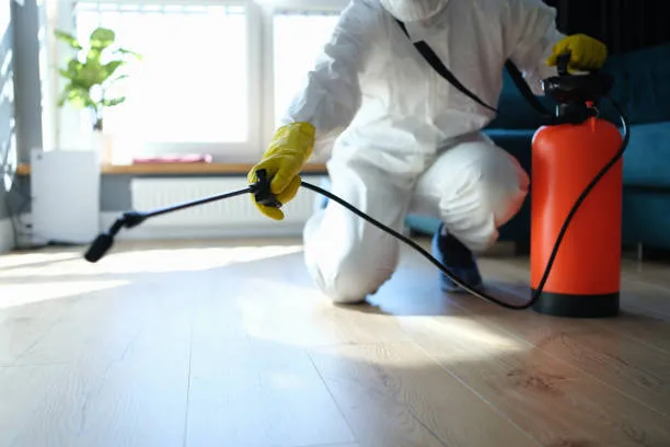 EcoArmor Pest Defense in McKinney, TX — business photo 4