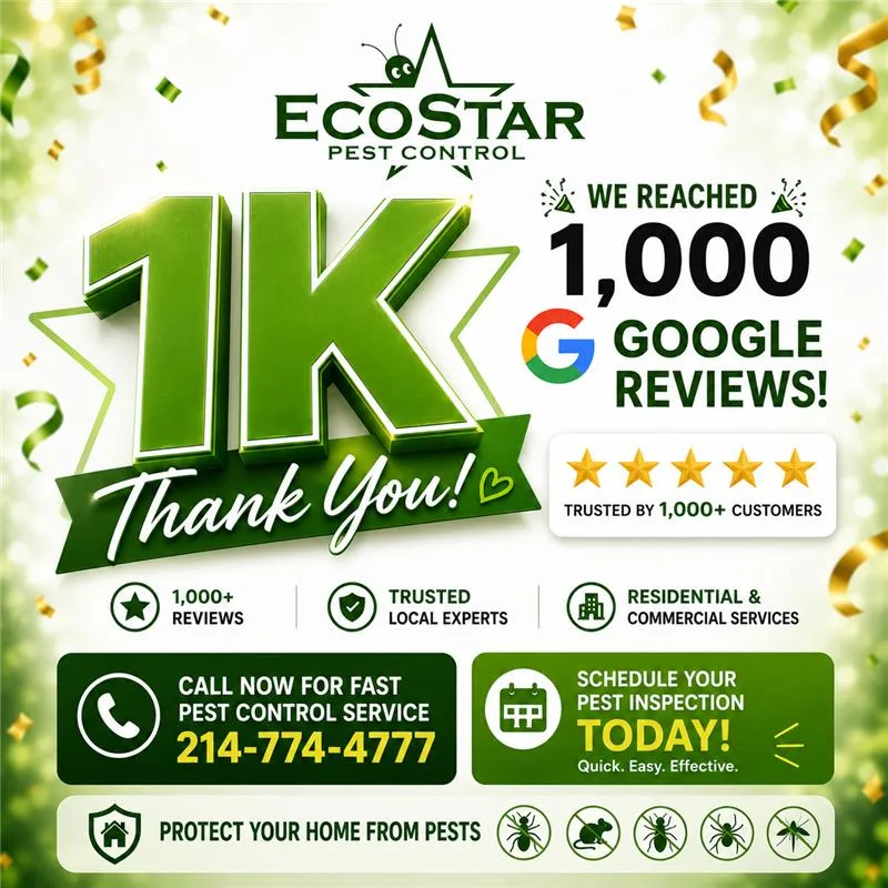 EcoStar Pest Control: Pest Control Services Near Dallas & Carrollton, TX — pest control in Carrollton, DENTON County, TX