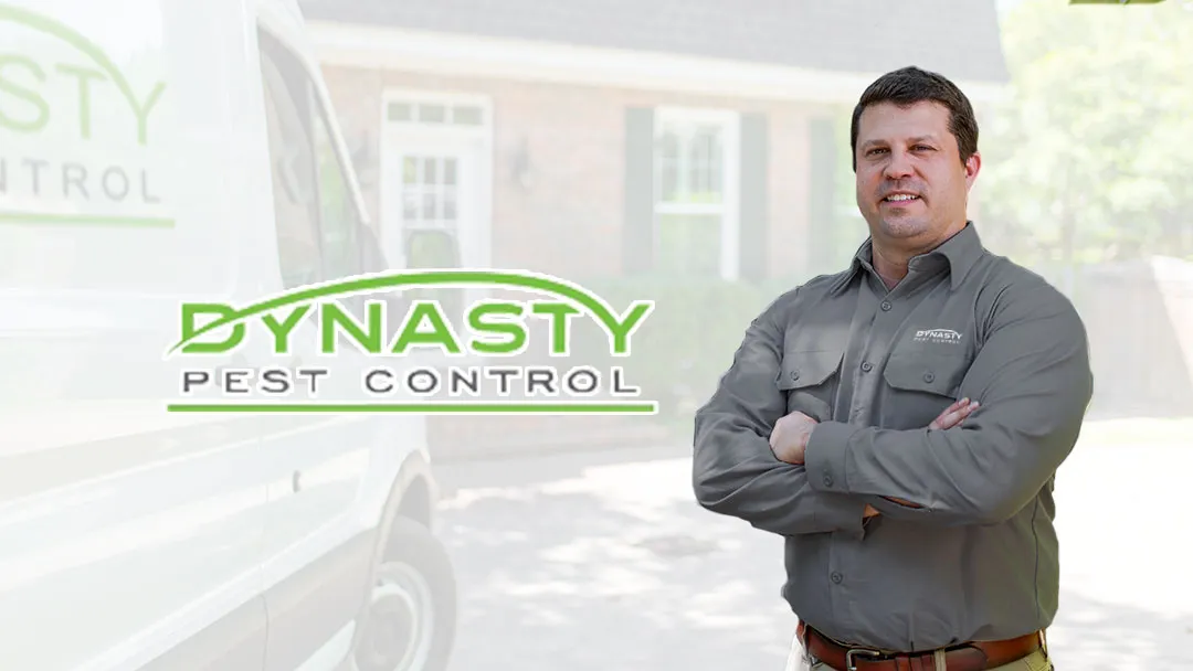 Dynasty Pest Control — pest control in McKinney, COLLIN County, TX