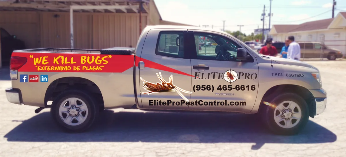 Elite Pro Pest Control LLC — pest control in Brownsville, CAMERON County, TX