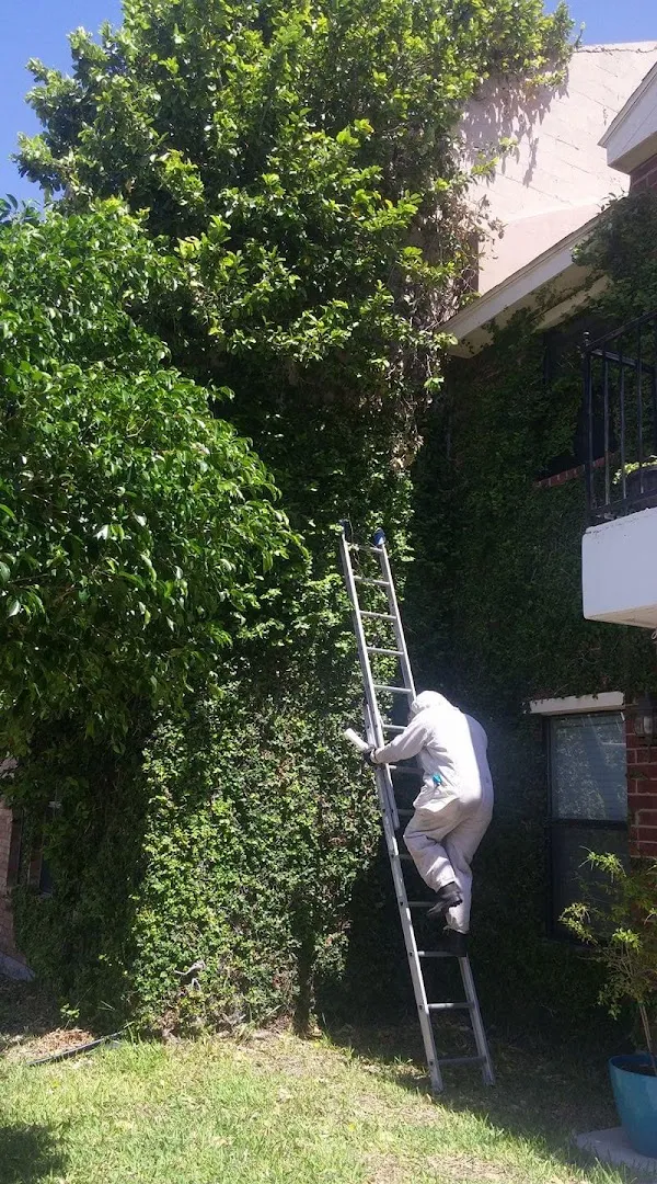 Elizondo Pest Control in Edinburg, TX — business photo 5