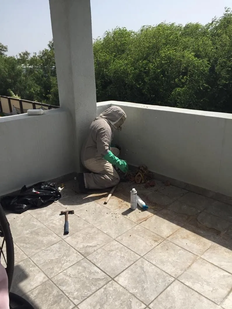 Elizondo Pest Control in Edinburg, TX — business photo 6