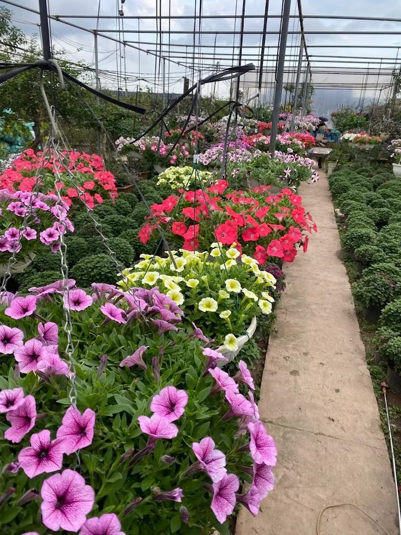 Addison Pest Control in Dallas, TX — business photo 4