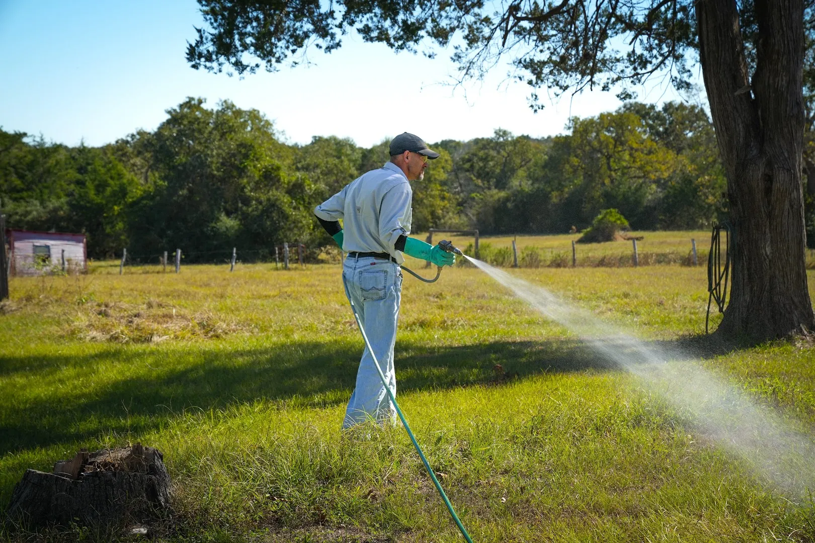 Entec Pest Management in Bryan, TX — business photo 4