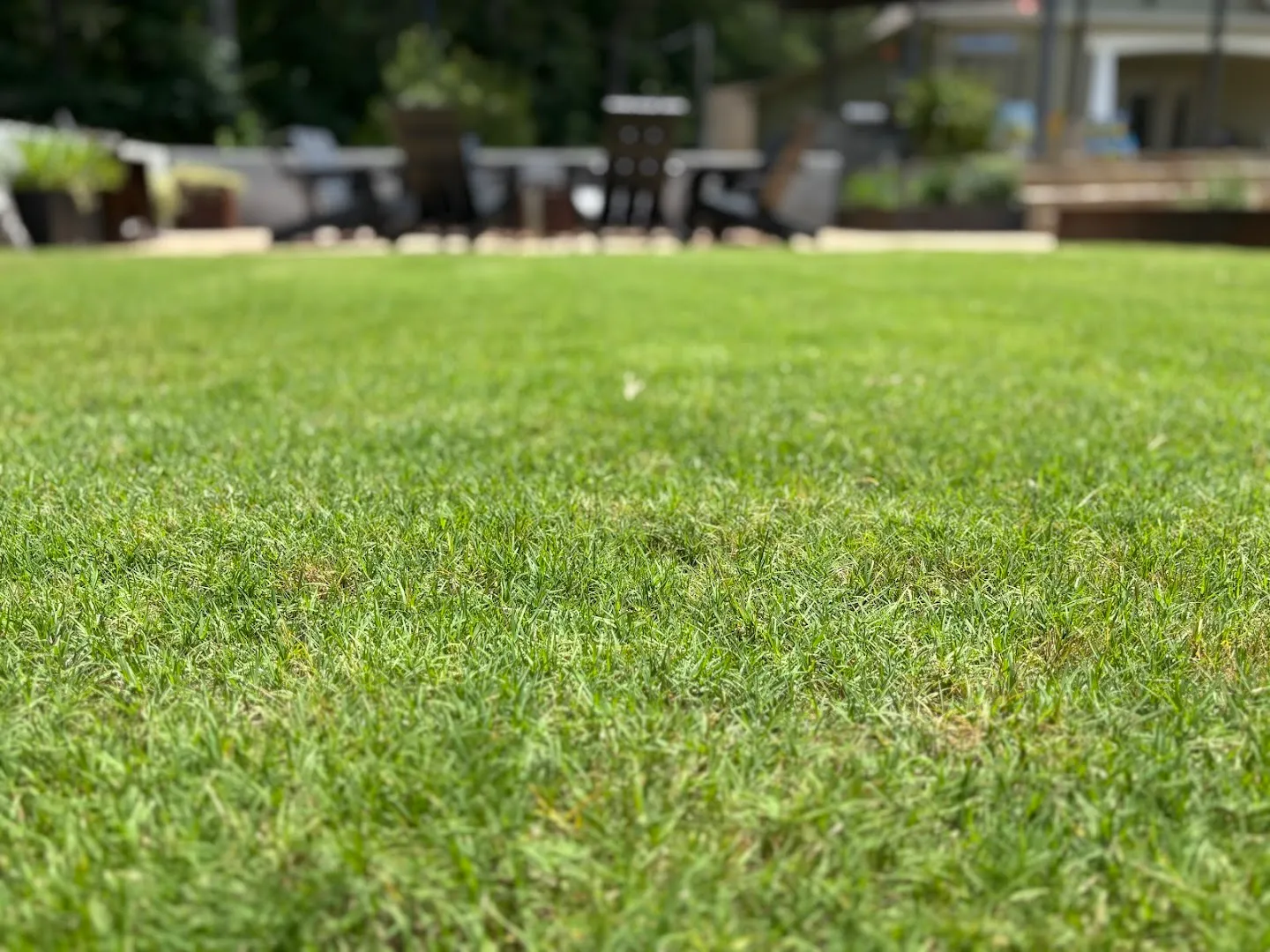 Evergreen Lawn Care in Nacogdoches, TX — business photo 2