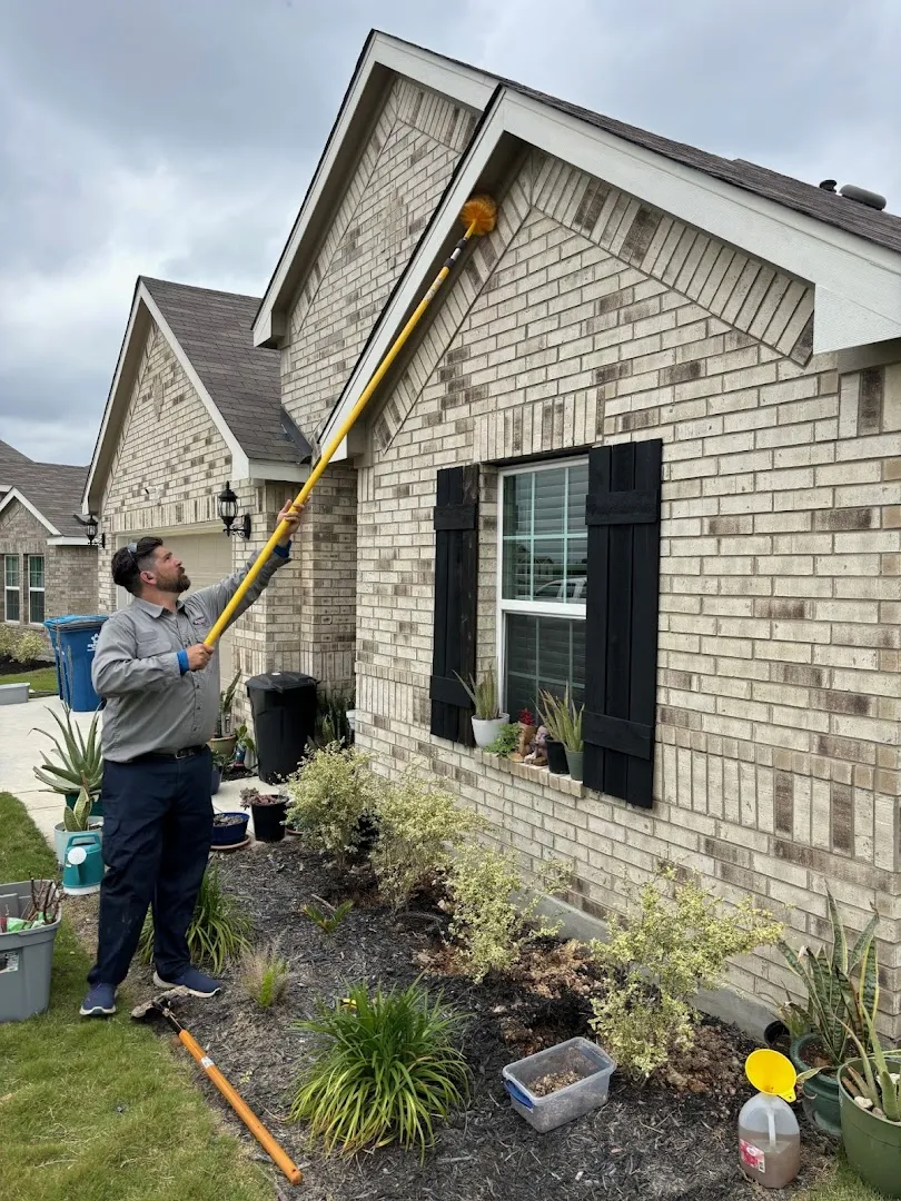Romney Pest Control - Conroe in Conroe, TX — business photo 4