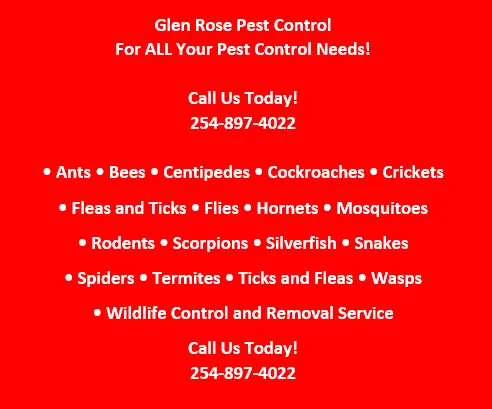 Glen Rose Pest Control in Glen Rose, TX — business photo 4