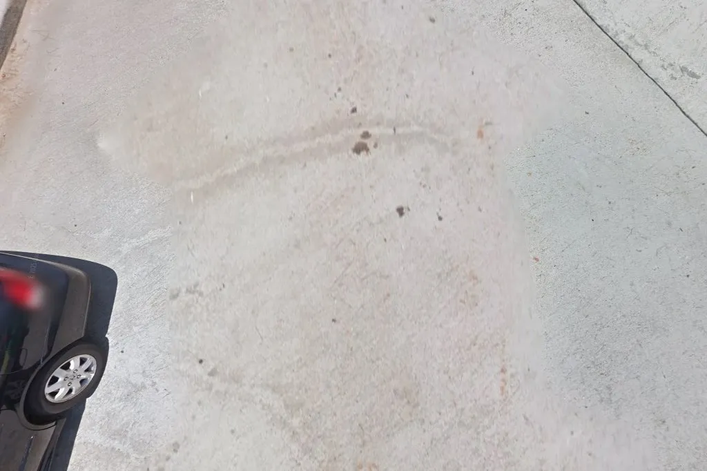 Glenco Home Inspections — pest control in Houston, HARRIS County, TX