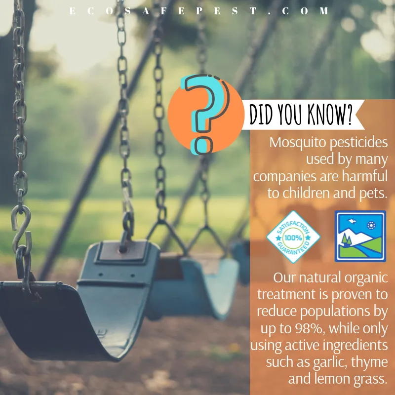 Eco-Safe Pest Control — pest control in Dallas, DALLAS County, TX