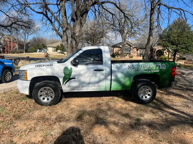 Granbury Pest — pest control in Granbury, HOOD County, TX