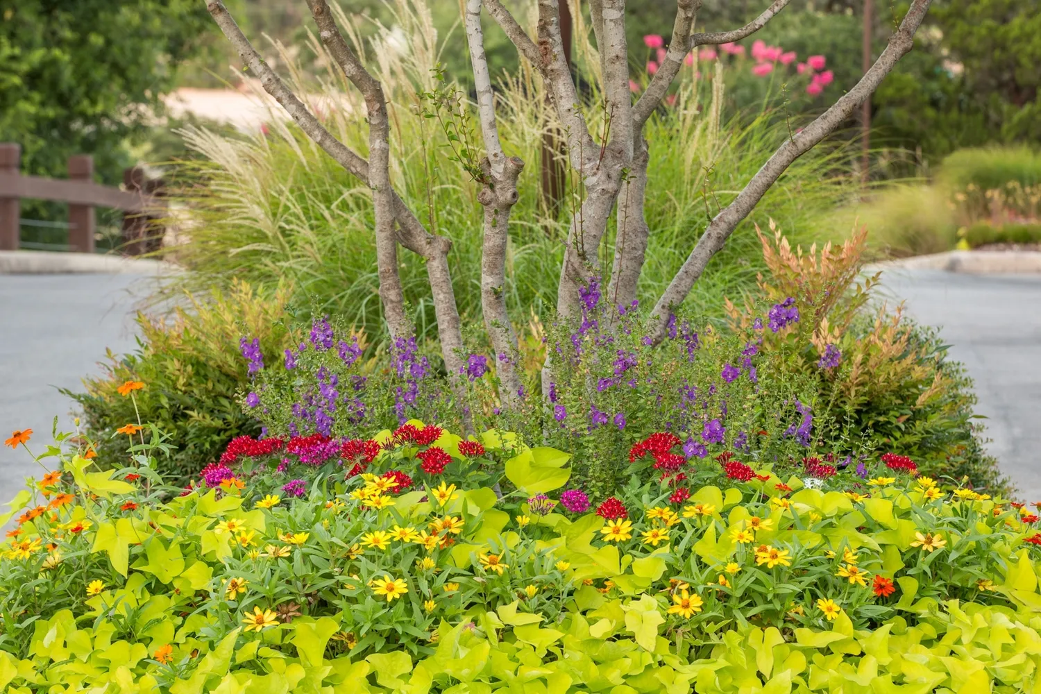 Gratr Landscapes Ltd in San Antonio, TX — business photo 2