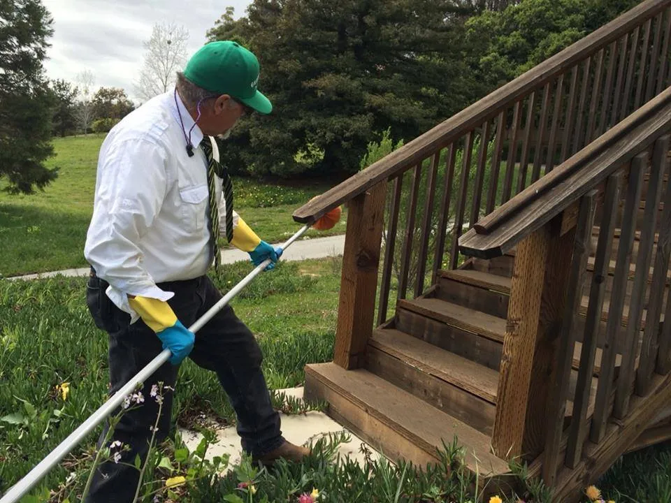 Green Hornet Pest Control — pest control in El Paso, EL PASO County, TX