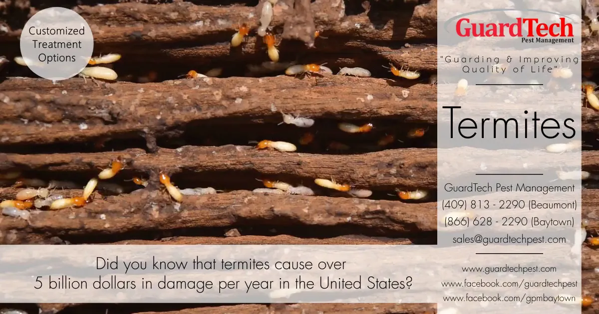 GuardTech Pest Management — pest control in Beaumont, JEFFERSON County, TX