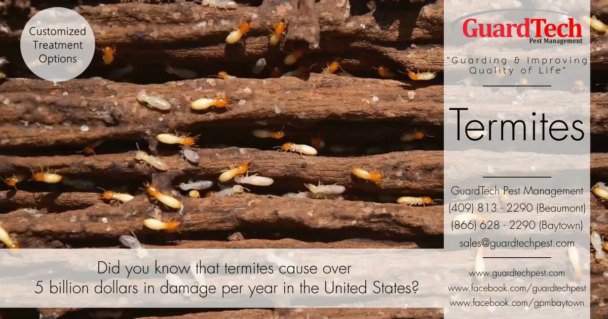 GuardTech Pest Management in Beaumont, TX — business photo 2