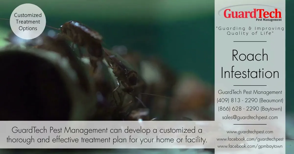 GuardTech Pest Management in Beaumont, TX — business photo 3