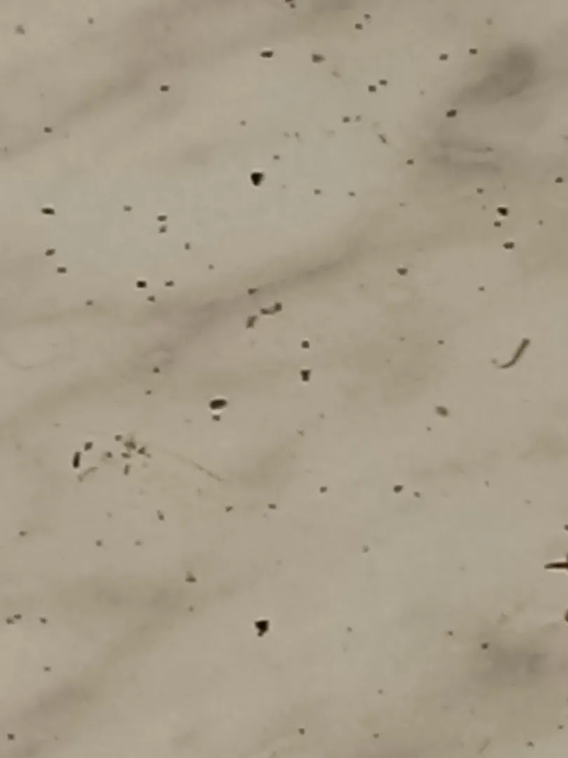 GuardTech Pest Management in Beaumont, TX — business photo 4