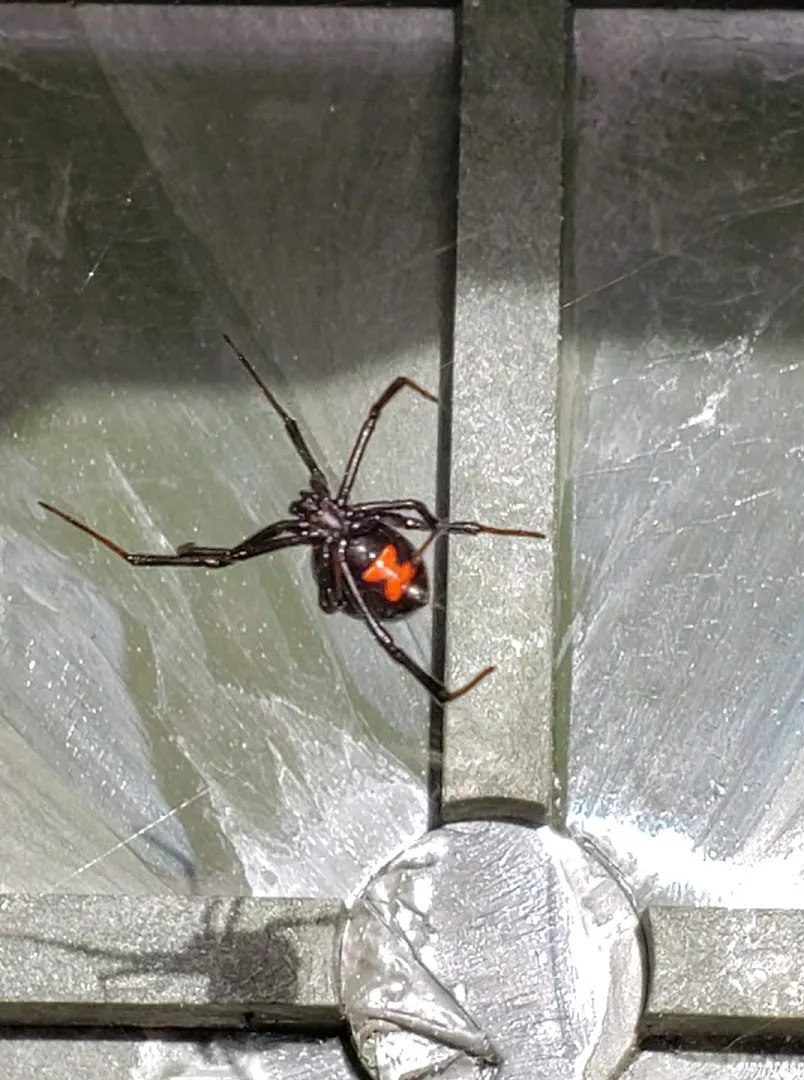 Gulf Coast Pest Control in Richmond, TX — business photo 4