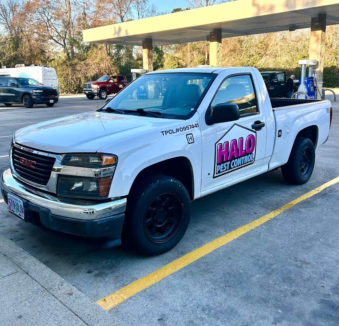 Halo Pest Control — pest control in Canton, VAN ZANDT County, TX