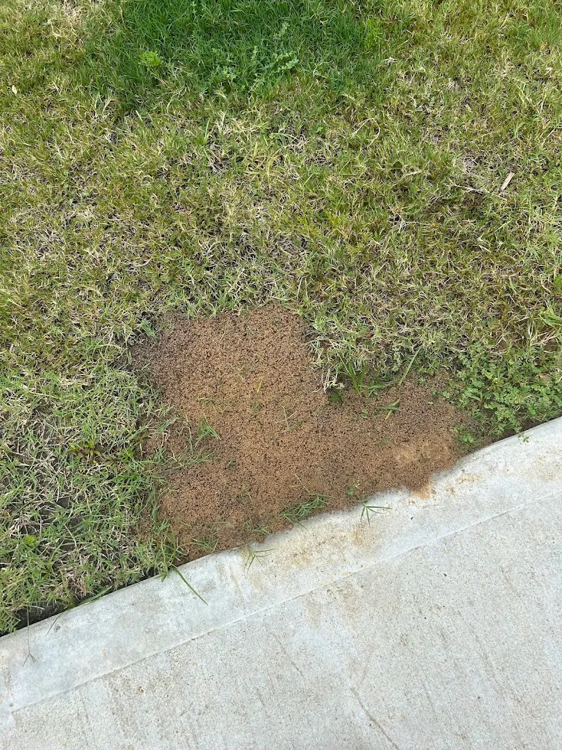 Hartz Pest Control in Houston, TX — business photo 3