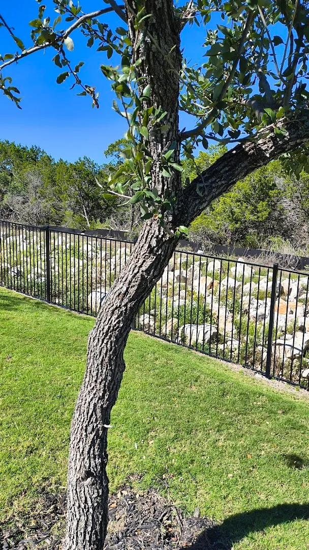 G&C Lawncare San Marcos TX in San Marcos, TX — business photo 5