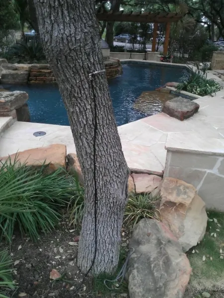 Hitman Pest Control in San Antonio, TX — business photo 4