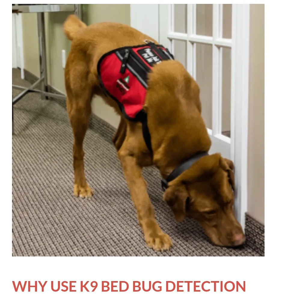 HK pest control service — pest control in McKinney, COLLIN County, TX