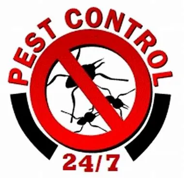 HK pest control service in McKinney, TX — business photo 4